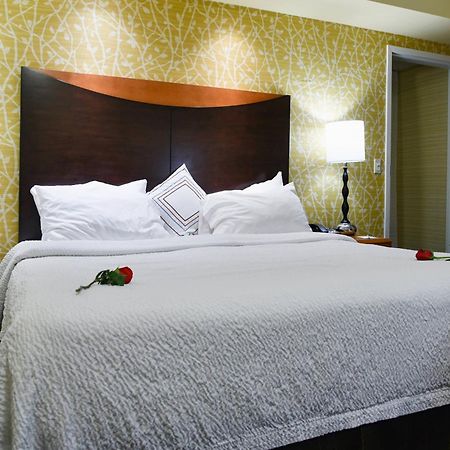 Fairfield Inn Hartford Airport Windsor Locks Extérieur photo